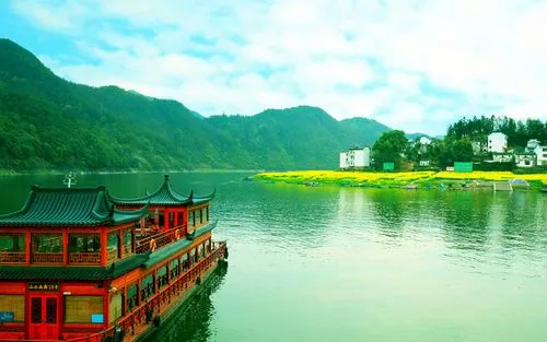 新型高端